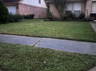 Leroy B.'s Lawn Mowing service result