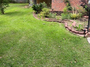 William C.'s Lawn Mowing Service service result