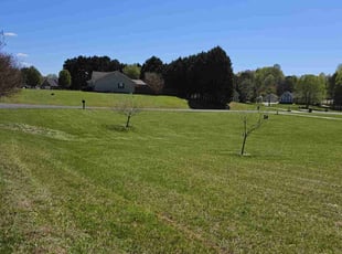 Lourell B.'s Lawn Service service result