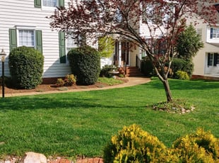 Cleanups by Chris Thomas for Yuan L. in Midlothian, VA