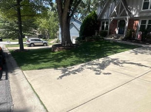 Essie C.'s Lawn Service service result