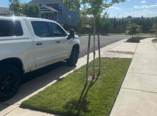 Megan G.'s Lawn Mowing Service service result