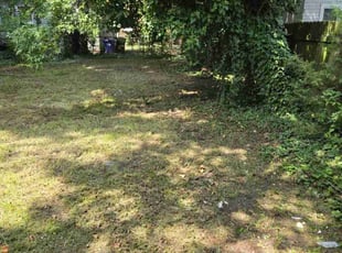 Leaf Removal by Anthony Brown for Cynthia B. in Portsmouth, VA