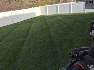 Annette J.'s Lawn Care service result