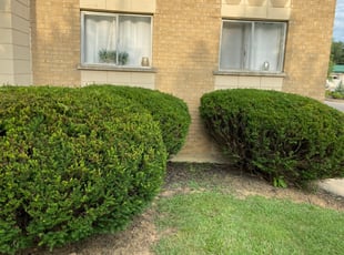 Bush Trimming by Logan Johnson for Michelle B. in Cincinnati, OH