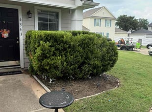 Bush Trimming by Danny Blanco for Jack E. in Katy, TX