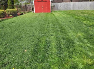 Pete M.'s Lawn Maintenance service result