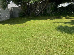dave m.'s Grass Cutting service result