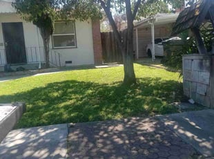 Millie D.'s Yard Cutting service result