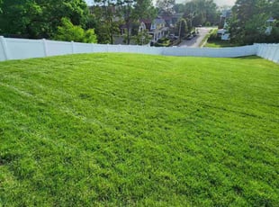 Lauren H.'s Lawn Mowing service result