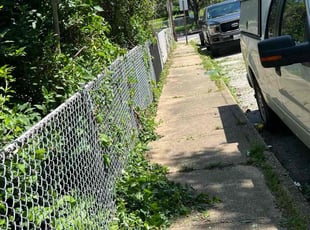 Bush Trimming by Dimas Lopez for Nichelle S. in Baltimore, MD