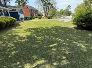 Denise M.'s Lawn Service service result
