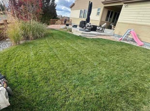 Cindy C.'s Lawn Service service result