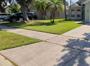 Marilyn M.'s Lawn Mowing Service service result