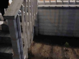 Leaf Removal by Brandon Sanders for Decardio G. in North Charleston, SC