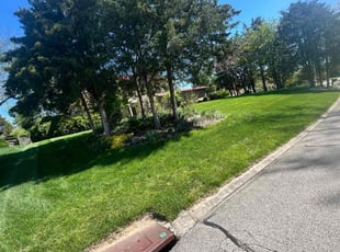 James K.'s Lawn Mowing Service service result