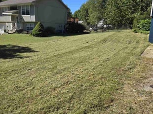 Stephen M.'s Lawn Maintenance service result