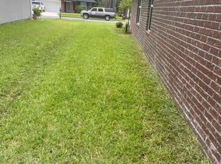 Karen W.'s Grass Cutting service result