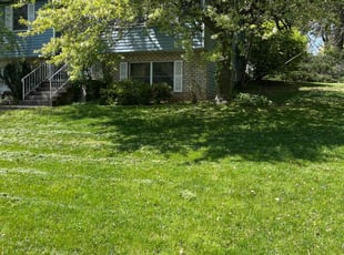 Michele A.'s Lawn Maintenance service result