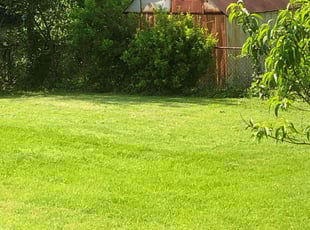 Juan Antonio G.'s Grass Cutting service result