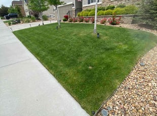 Paul B.'s Lawn Mowing Service service result