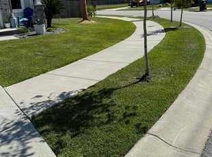 Megan C.'s Lawn Maintenance service result