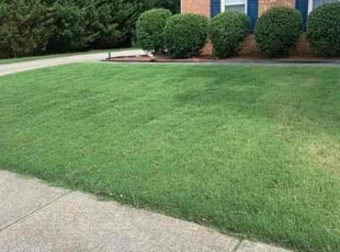 Mark J.'s Lawn Care service result