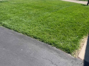 Donna M.'s Lawn Maintenance service result