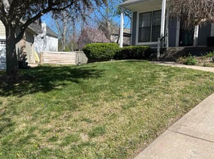 Bush Trimming by Chase Hartupee for Cynthia M. in Kansas City, MO