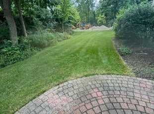Marcy H.'s Lawn Care service result