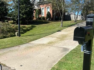 Jeff L.'s Lawn Service service result