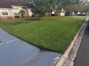 Dawon W.'s Lawn Mowing service result