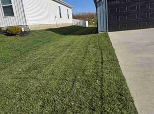 Ron S.'s Lawn Mowing Service service result