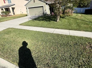 George T.'s Lawn Maintenance service result