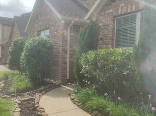 Bush Trimming by James Parga for Brandon R. in Conroe, TX
