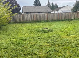 Mary Y.'s Yard Cutting service result