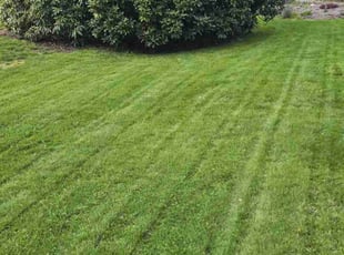Sherry K.'s Lawn Mowing Service service result