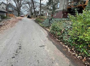 Leaf Removal by Brian Cortes for Mk S. in Atlanta, GA