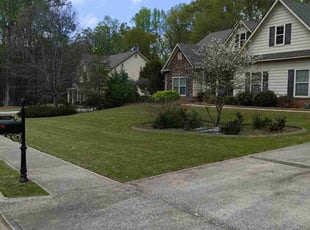 Lori S.'s Grass Cutting service result