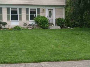 Brian V.'s Grass Cutting service result