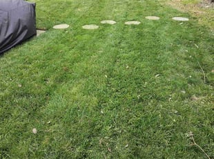 Nate P.'s Lawn Mowing Service service result