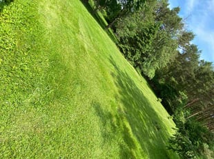Jonathan G.'s Yard Cutting service result