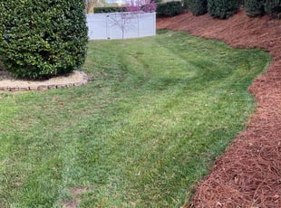 Ray G.'s Lawn Mowing service result