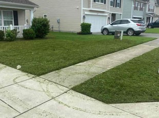 Richard H.'s Lawn Service service result