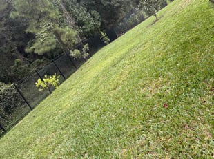 Donna W.'s Lawn Care service result