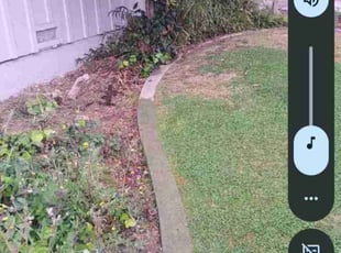 Weeding by Louie Priest for Ben H. in Bakersfield, CA