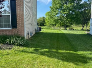 Stephen S.'s Lawn Mowing Service service result