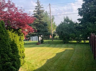 Jennifer B.'s Lawn Service service result