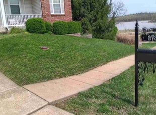 Mike K.'s Lawn Mowing service result