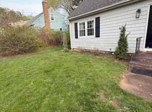 Weeding by Carl Pappas for Anastasiia D. in Middletown, CT